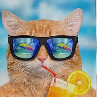 A cat wearing sunnglasses, sipping juice from a straw.